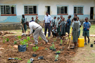 Planting at the school