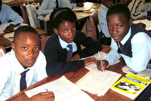 Grade 9 Pupils at Work